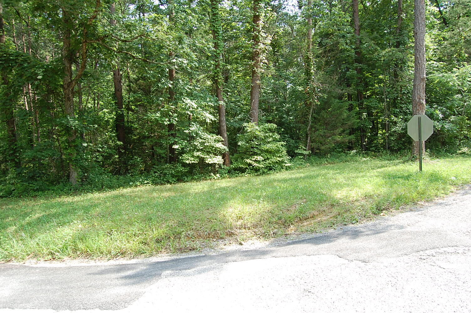 57 Hugh Allison Road Pikeville, TN 37367 - Photo 4 of 28 DSC_0004 - Copy (2)