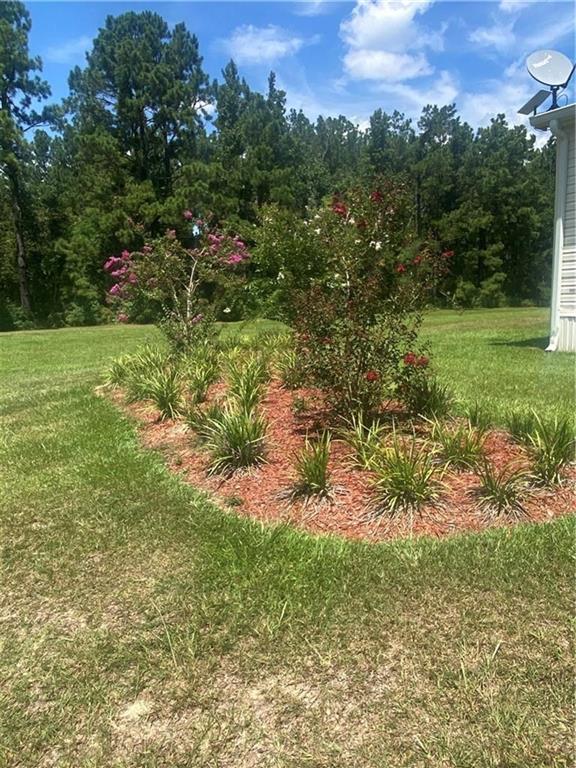 5008 Greentown Road Deridder, LA 70634 - Photo 4 of 21