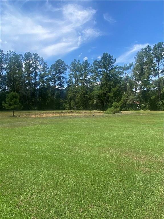 5008 Greentown Road Deridder, LA 70634 - Photo 5 of 21