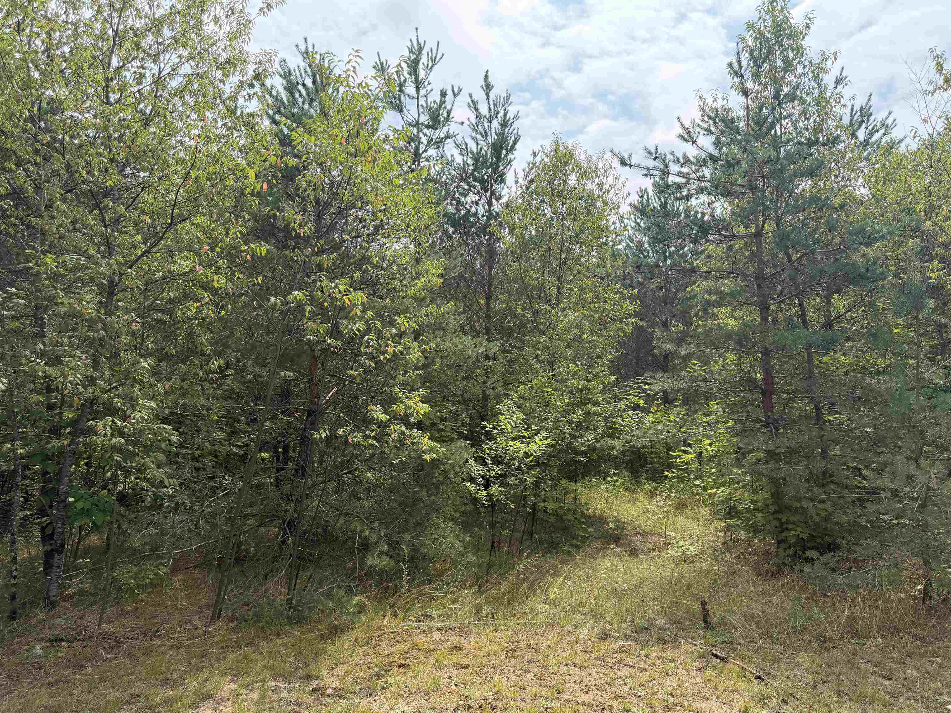 23567 Faylor Road Copemish, MI 49625 - Photo 14 of 34 1949000-d396887d-26f3-4ee7-a981-c78a097689e9.JPG
