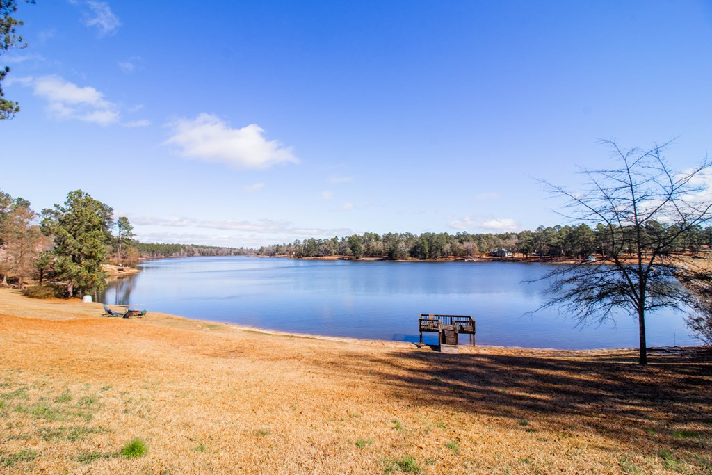 130 Flowing Well Road Wagener, SC 29164 - Photo 5 of 41