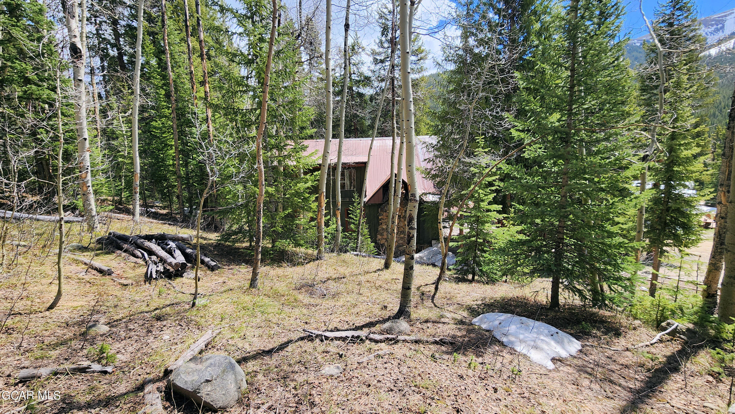573 97 Circle Breckenridge, CO 80424 - Photo 30 of 40 a view of a tree in the middle of a yard