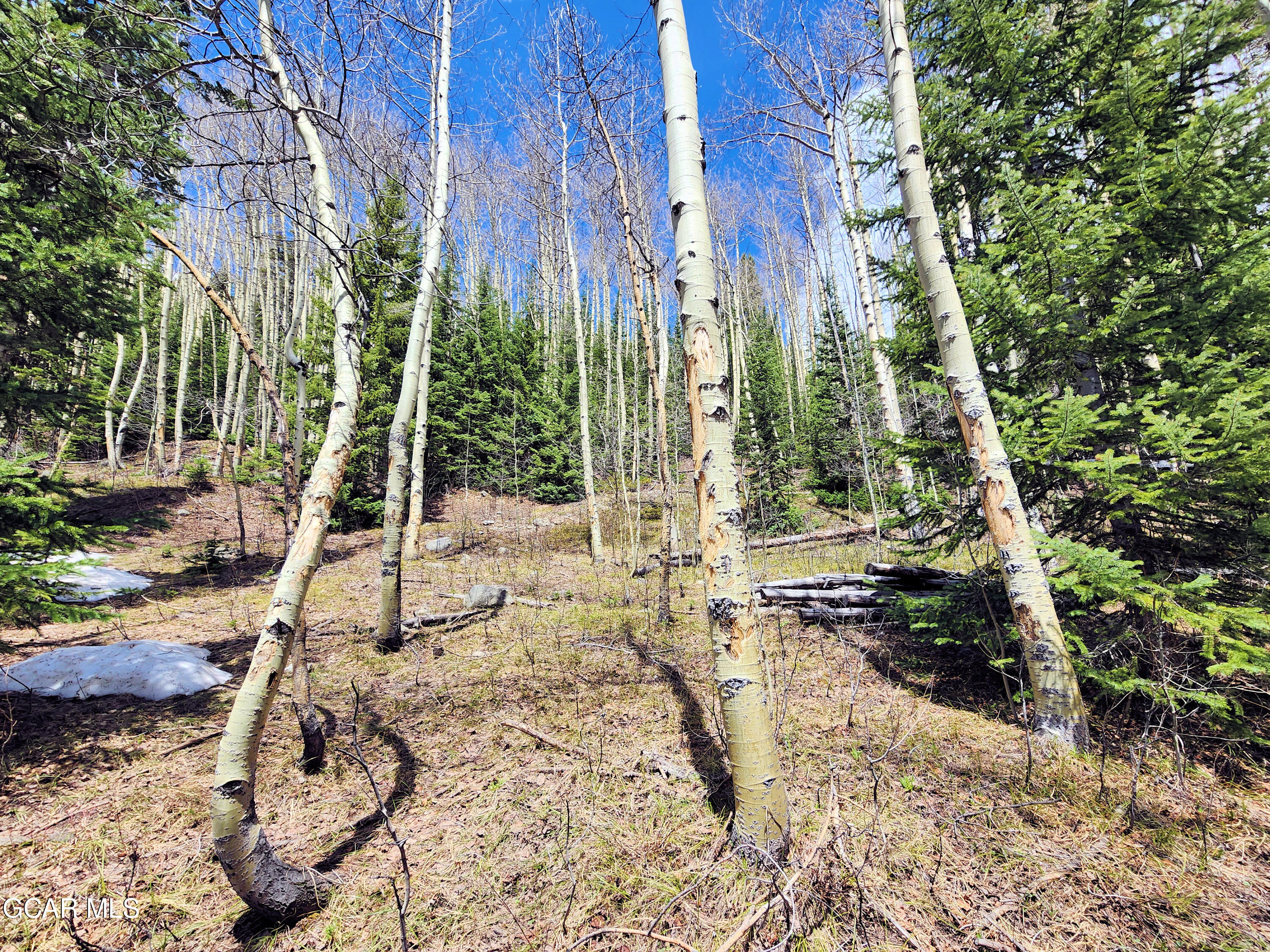 573 97 Circle Breckenridge, CO 80424 - Photo 31 of 40 a view of a backyard