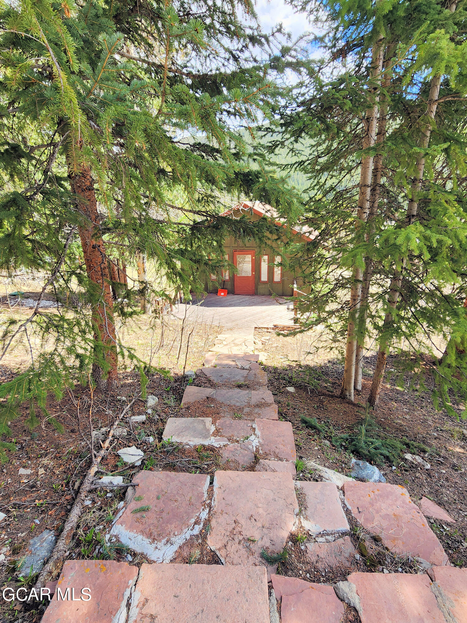 573 97 Circle Breckenridge, CO 80424 - Photo 32 of 40 a backyard of a house with large trees and plants