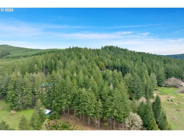 $290,000 | 0 Hall Road, Cheshire, OR 97419