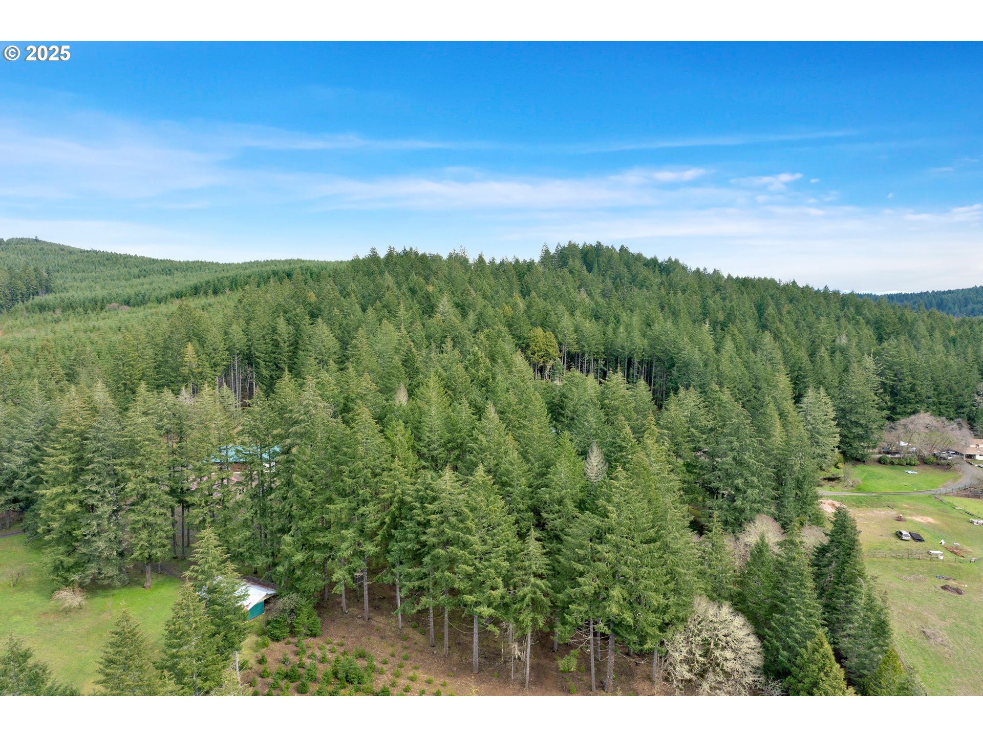 0 Hall Road Cheshire, OR 97419 - Photo 11 of 17