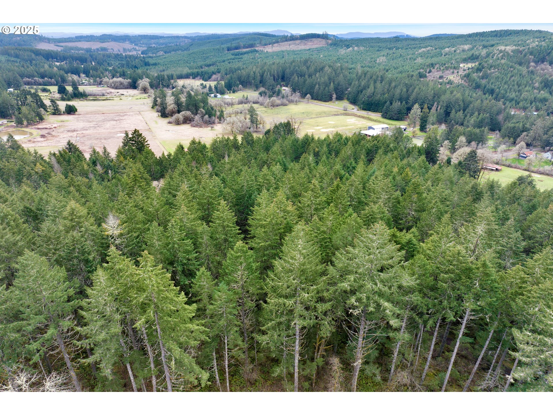 0 Hall Road Cheshire, OR 97419 - Photo 14 of 17