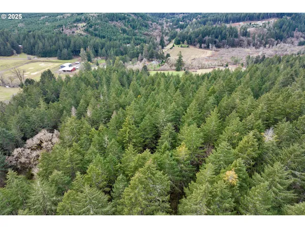 $290,000 | 0 Hall Road, Cheshire, OR 97419