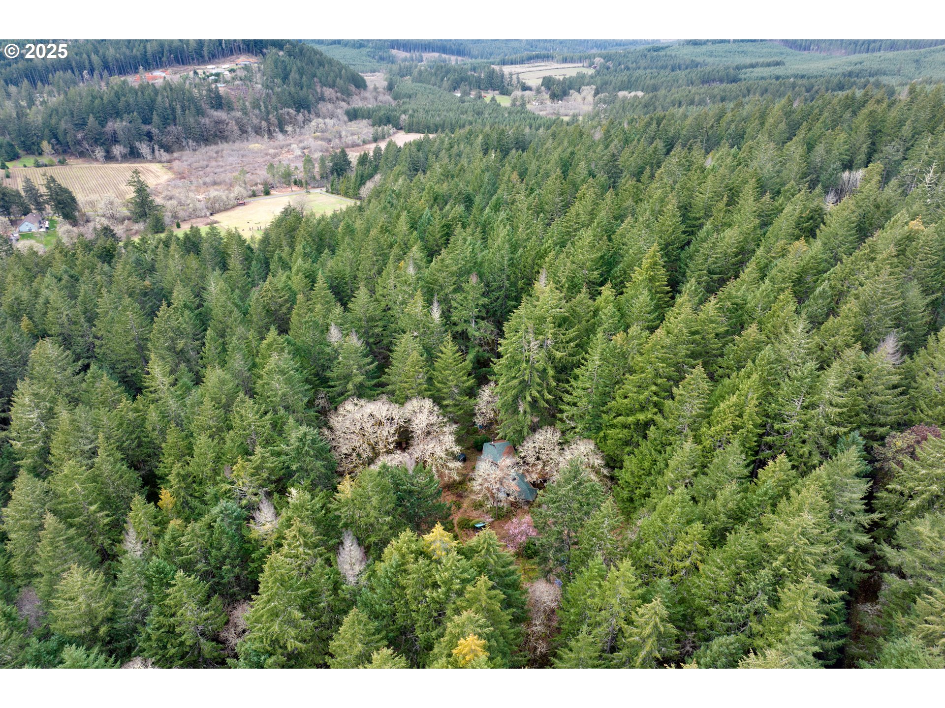 0 Hall Road Cheshire, OR 97419 - Photo 16 of 17