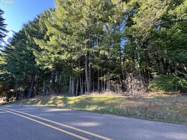 $295,000 | 0 Hall Road, Cheshire, OR 97419