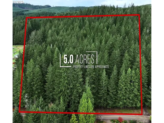 $295,000 | 0 Hall Road, Cheshire, OR 97419