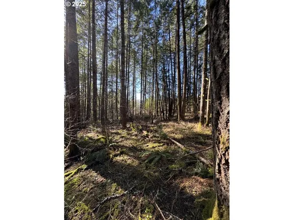 $290,000 | 0 Hall Road, Cheshire, OR 97419