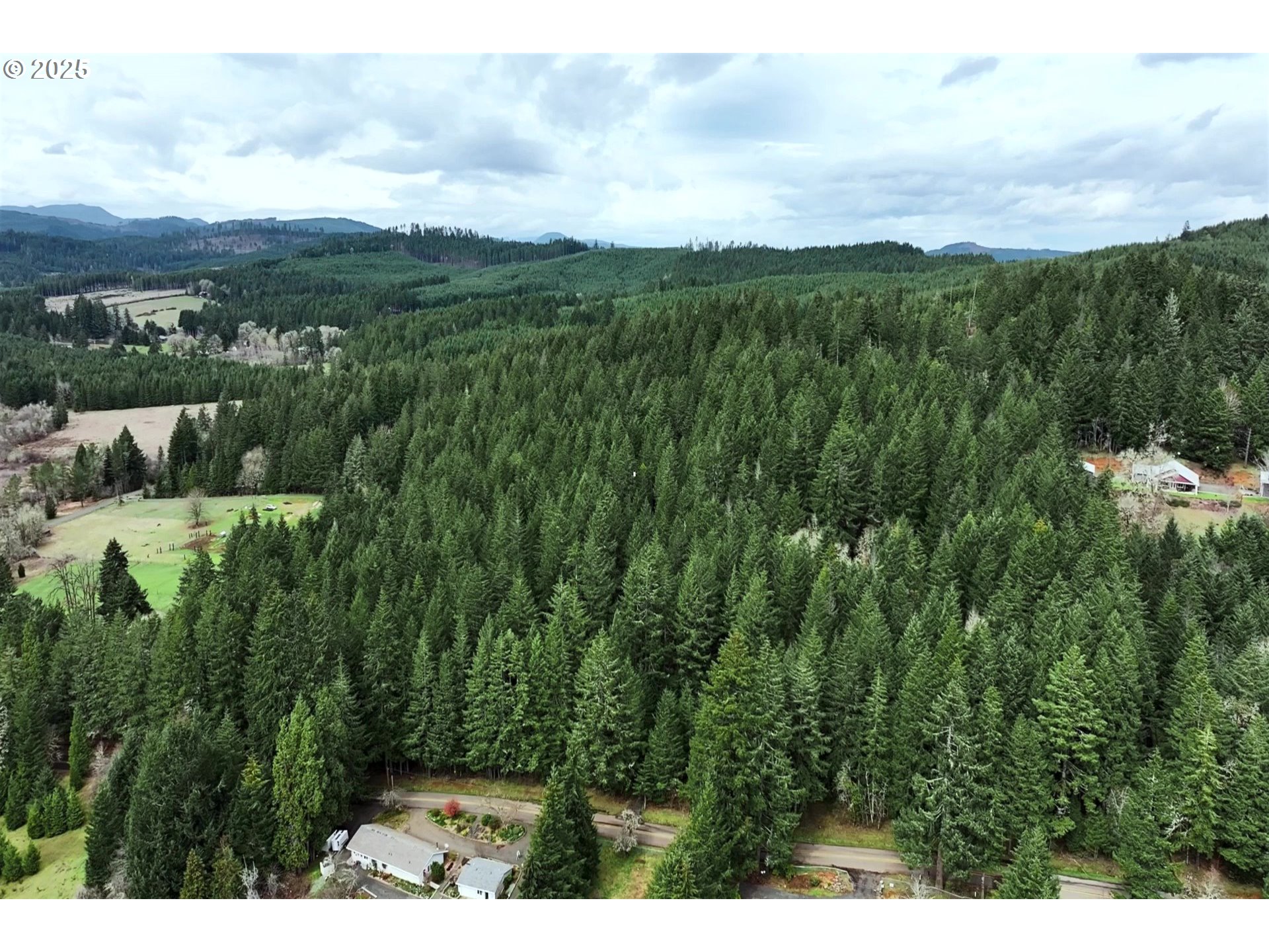 0 Hall Road Cheshire, OR 97419 - Photo 6 of 17