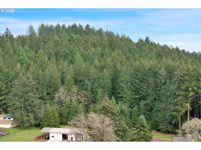 $295,000 | 0 Hall Road, Cheshire, OR 97419
