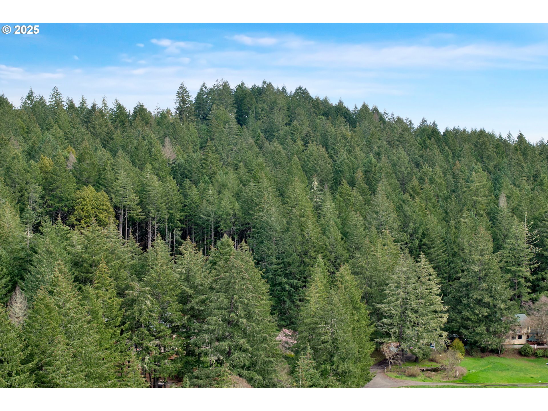 0 Hall Road Cheshire, OR 97419 - Photo 9 of 17