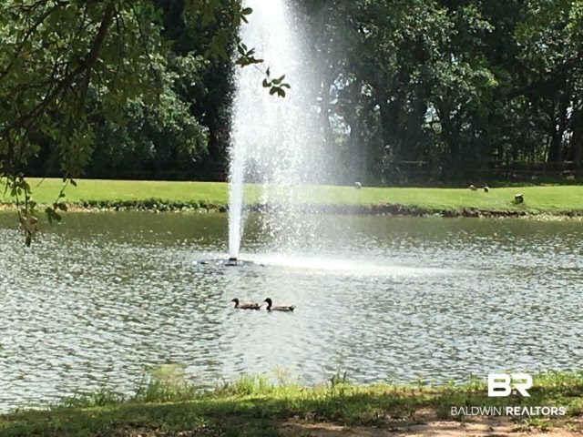 24514 Kipling Court Daphne, AL 36526 - Photo 19 of 22 Enjoy the ducks