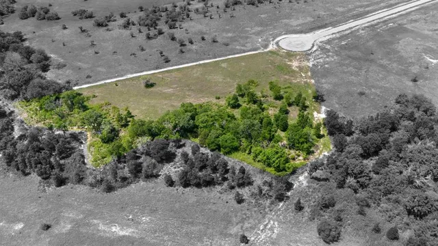 a view of a yard with plants