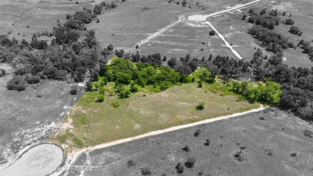 a view of a dry yard