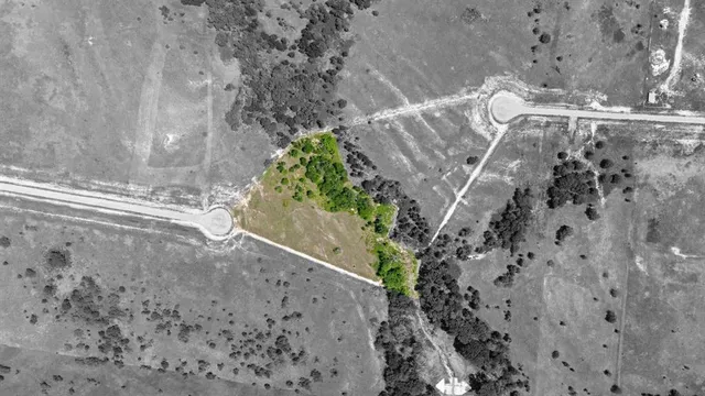 a vase of flowers sitting on a table