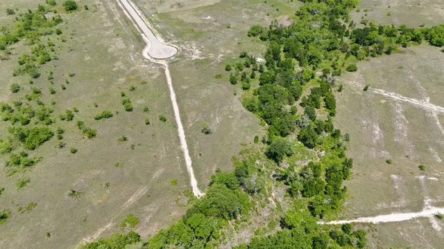 a view of a dry yard
