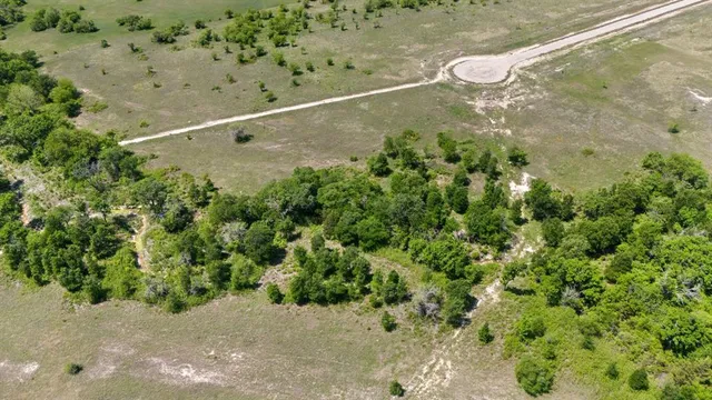 a view of a plant in a garden