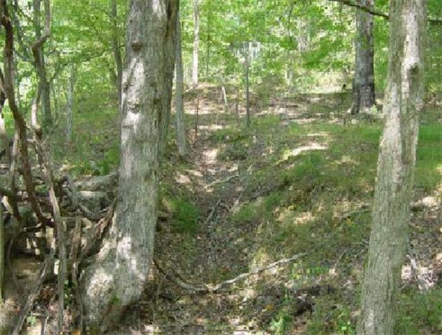 2209 Rieves Bend Road Columbia, TN 38401 - Photo 1 of 9 Gallery Image 1