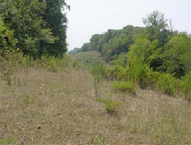 2209 Rieves Bend Road Columbia, TN 38401 - Photo 2 of 9 Gallery Image 2