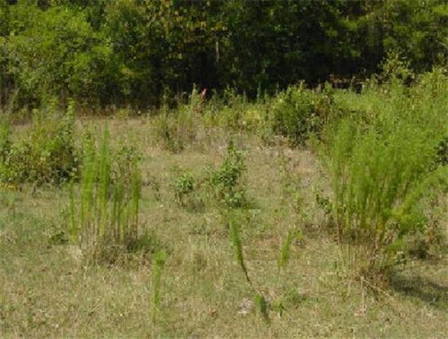 2209 Rieves Bend Road Columbia, TN 38401 - Photo 3 of 9 Gallery Image 3
