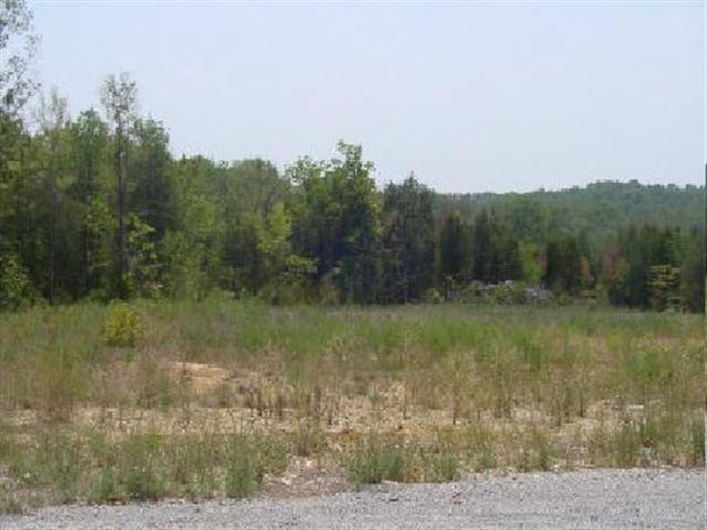 2209 Rieves Bend Road Columbia, TN 38401 - Photo 4 of 9 Gallery Image 4