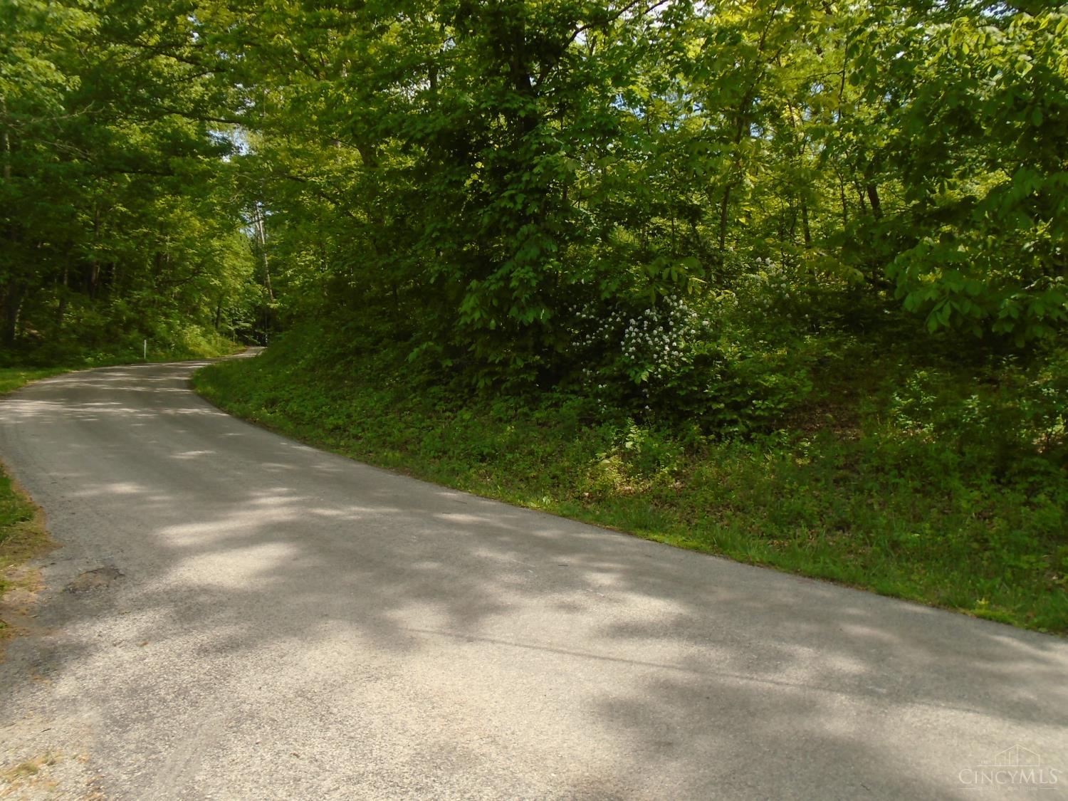 0 Rischforth Road Georgetown, OH 45121 - Photo 6 of 11
