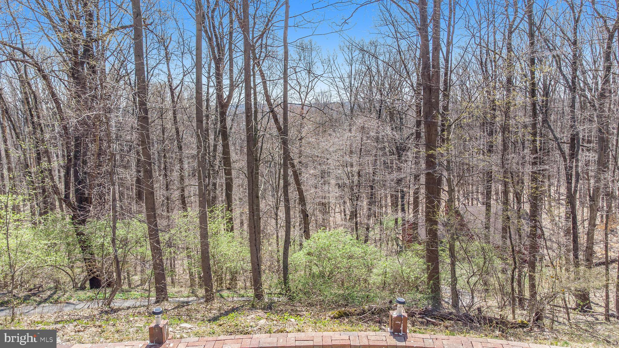 36 Blakely Road Downingtown, PA 19335 - Photo 34 of 37 Gallery Image 34