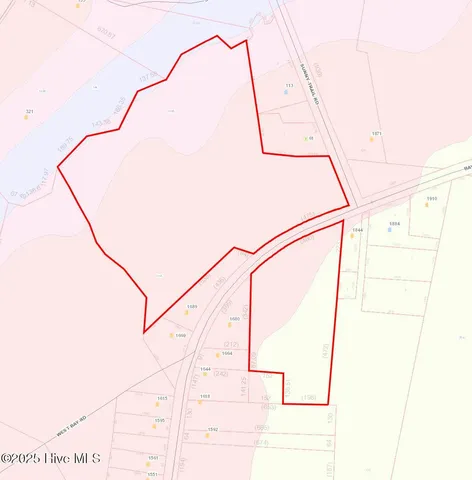 $202,500 | 24-ac Bay Road, Willard, NC 28478