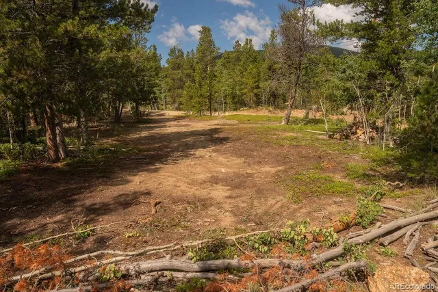 a view of outdoor space with trees