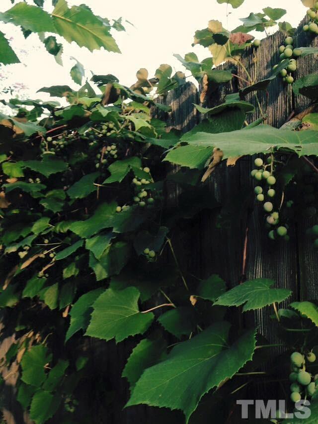 9901 Treymore Drive Raleigh, NC 27617 - Photo 11 of 25 a view of a street