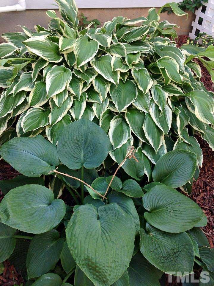 9901 Treymore Drive Raleigh, NC 27617 - Photo 5 of 25 a bird view of a house