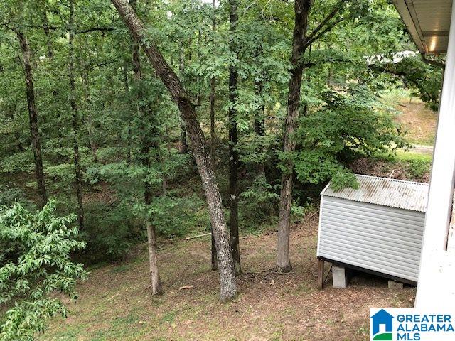 7405 Dewey Goodwin Road Pinson, AL 35126 - Photo 7 of 37 Gallery Image 7