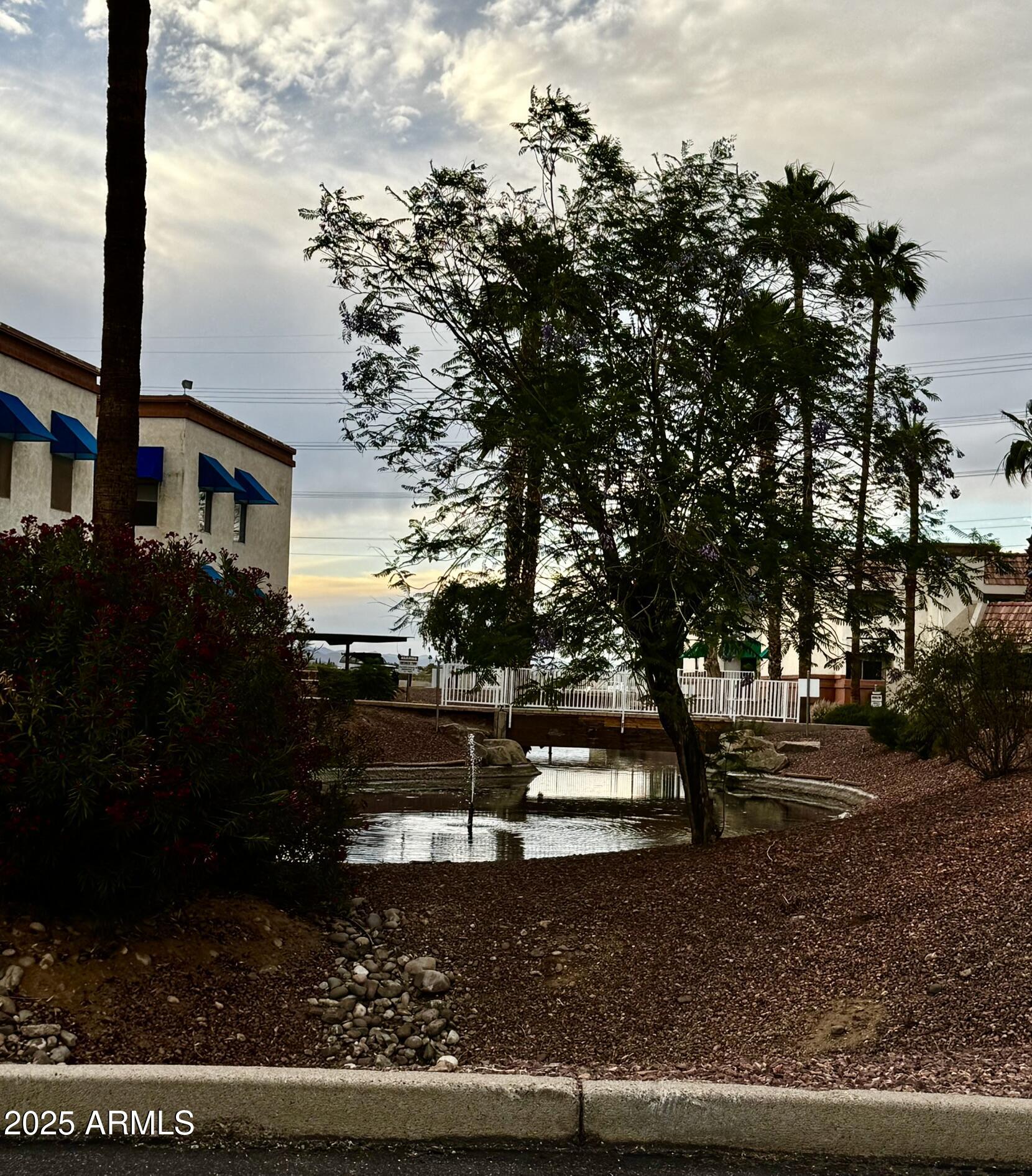 12123 West Bell Road, Unit 337 Surprise, AZ 85378 - Photo 49 of 50 a view of a yard with plants