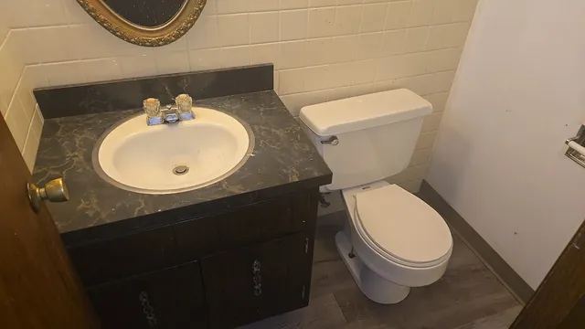 a bathroom with a sink and a toilet