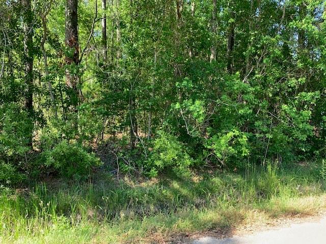 0 West Timberline Drive Slidell, LA 70460 - Photo 2 of 2