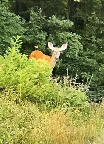 $569,400 | 1164 Hawkins Court, Kalamazoo, MI 49009