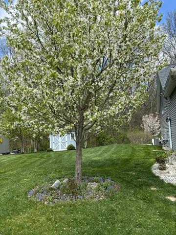 $569,400 | 1164 Hawkins Court, Kalamazoo, MI 49009