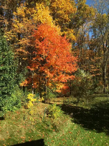 $569,400 | 1164 Hawkins Court, Kalamazoo, MI 49009