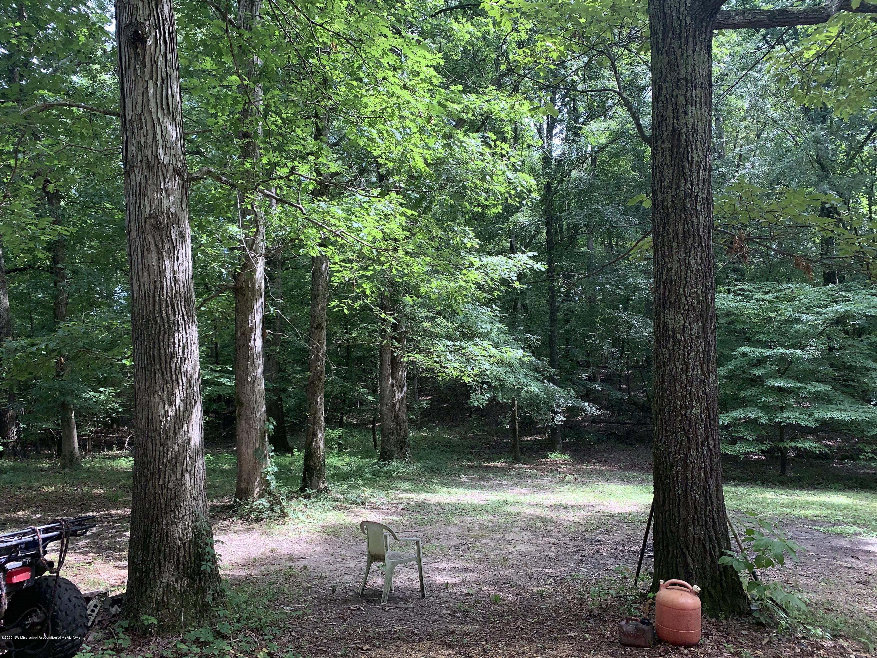 805 Stonewall Road Byhalia, MS 38611 - Photo 18 of 28 IMG_4109