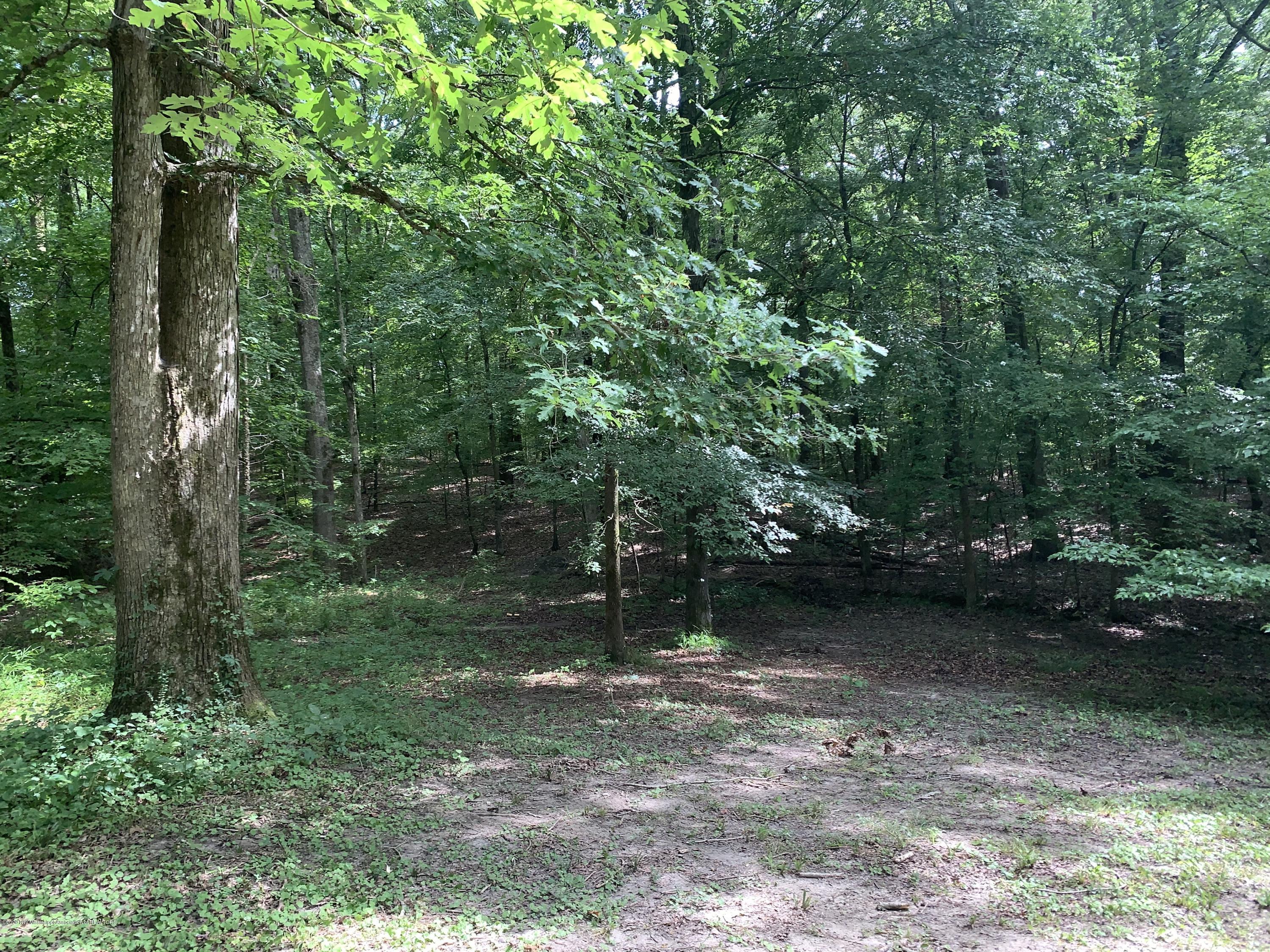 805 Stonewall Road Byhalia, MS 38611 - Photo 23 of 28 IMG_4119