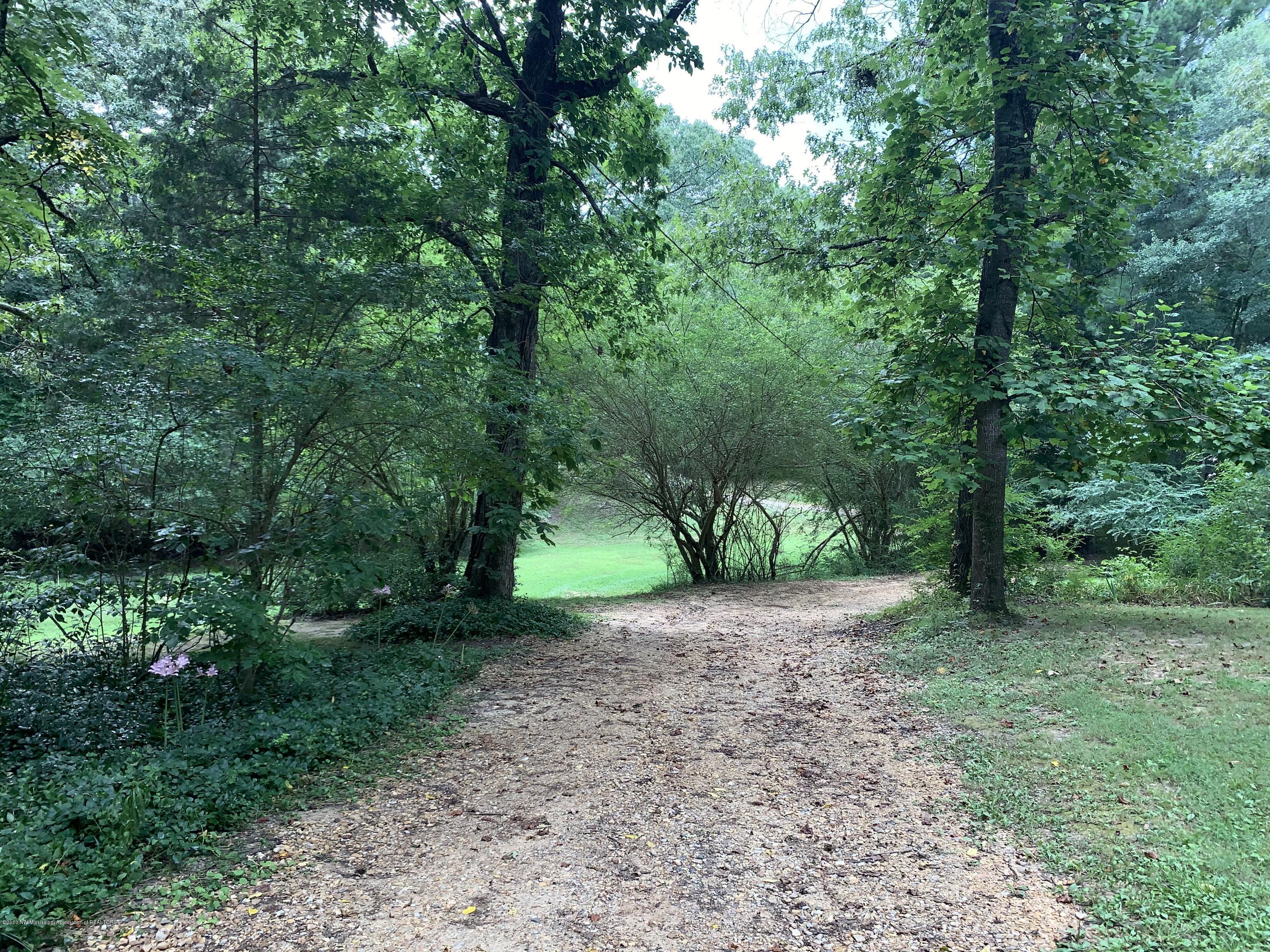 805 Stonewall Road Byhalia, MS 38611 - Photo 26 of 28 IMG_4135