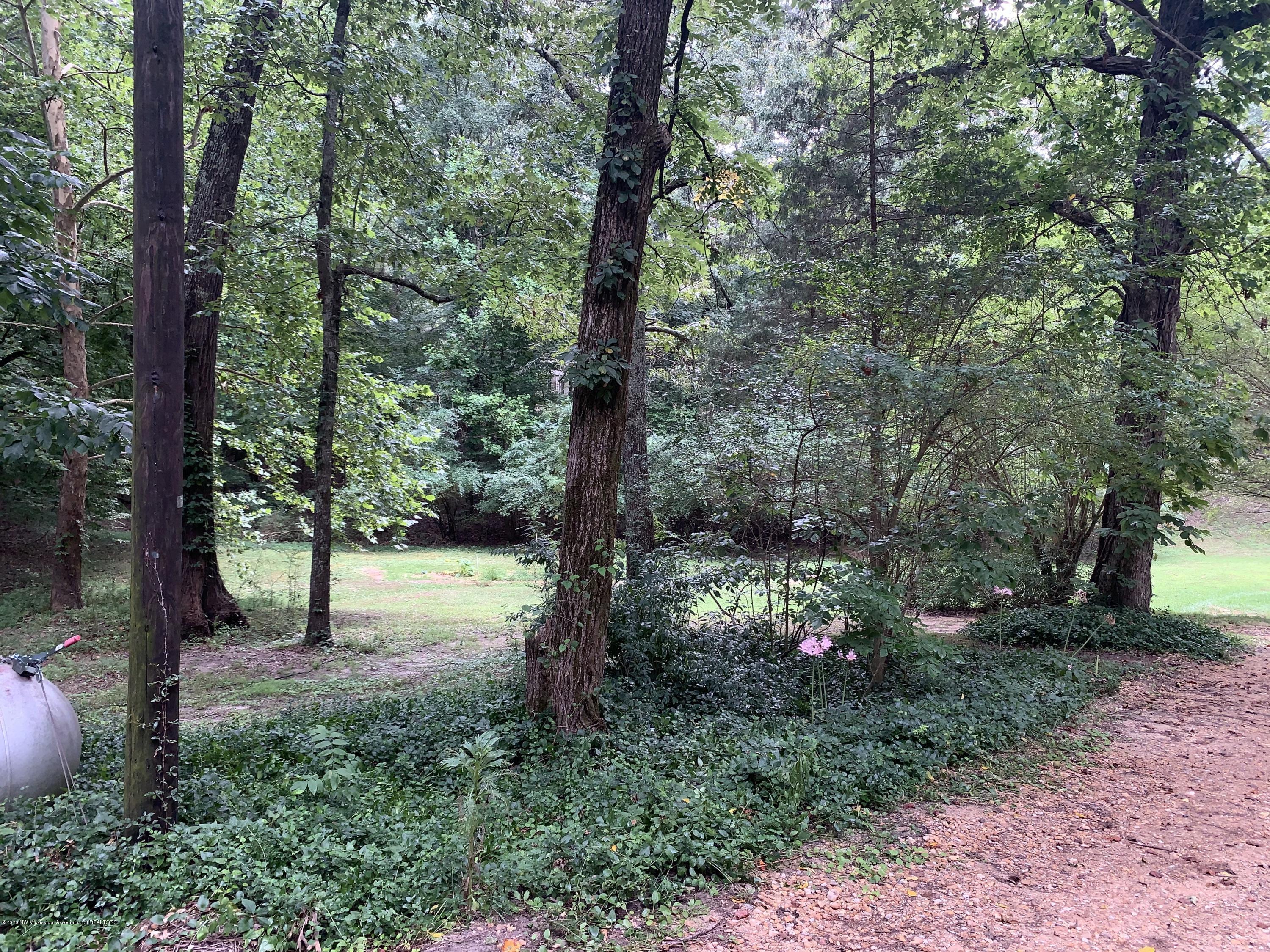 805 Stonewall Road Byhalia, MS 38611 - Photo 27 of 28 IMG_4136