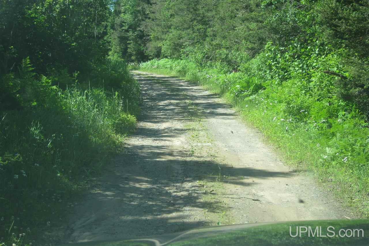 78-ac Lukes/shakey Lk Road Crystal Falls, MI 49920 - Photo 18 of 19