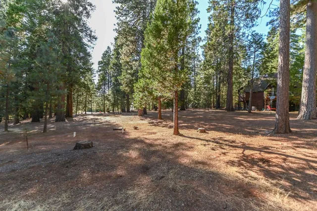 $539,000 | 20175 Pine Drive East, Pioneer, CA 95666