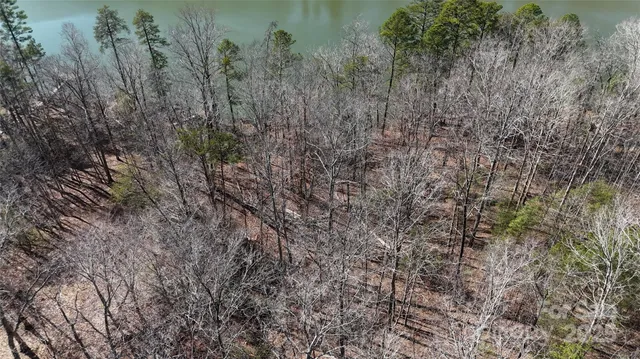 a view of a forest with a house