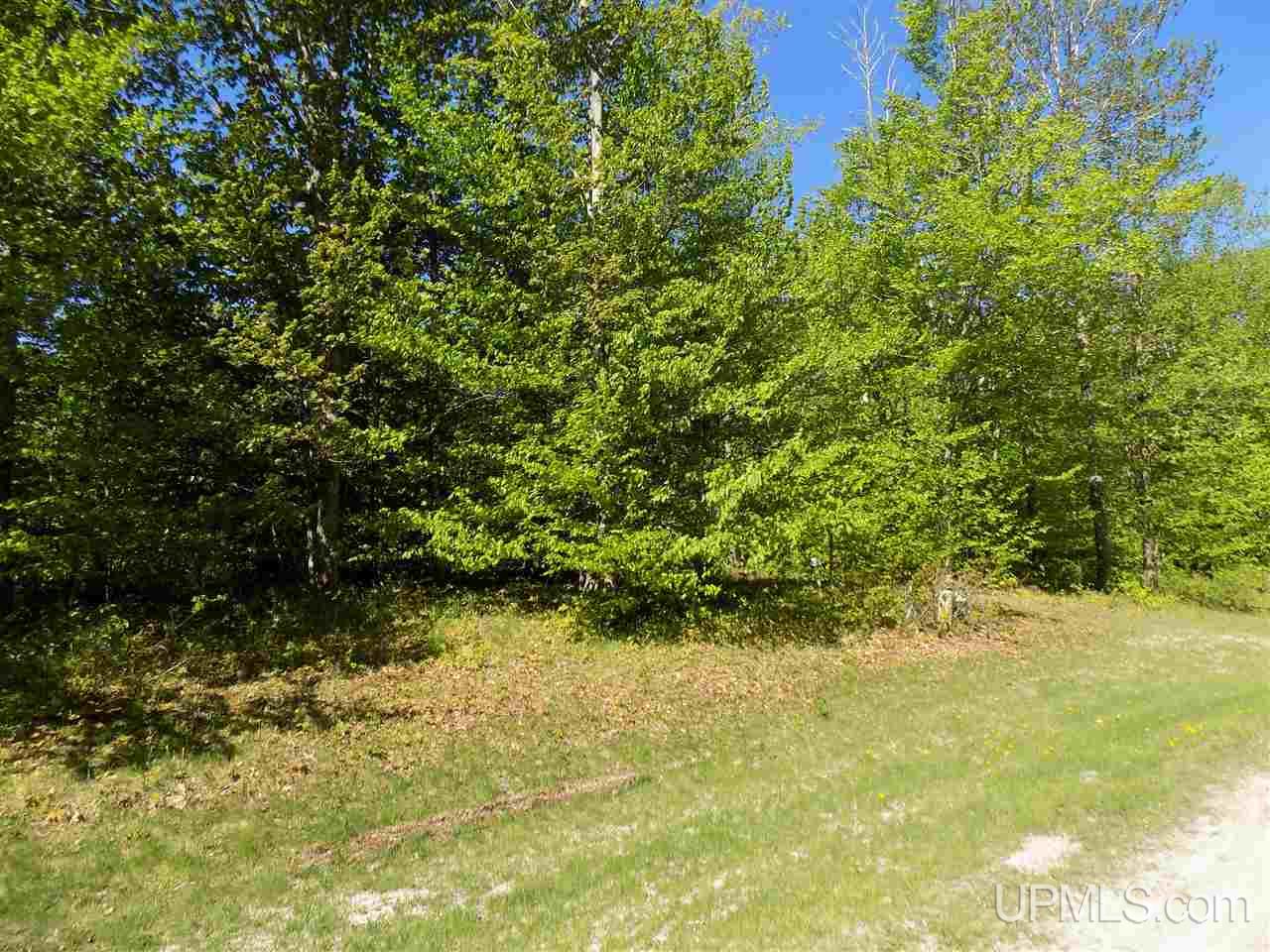 Tbd Northshore Bluffs Road, Unit 4 Manistique, MI 49854 - Photo 7 of 21